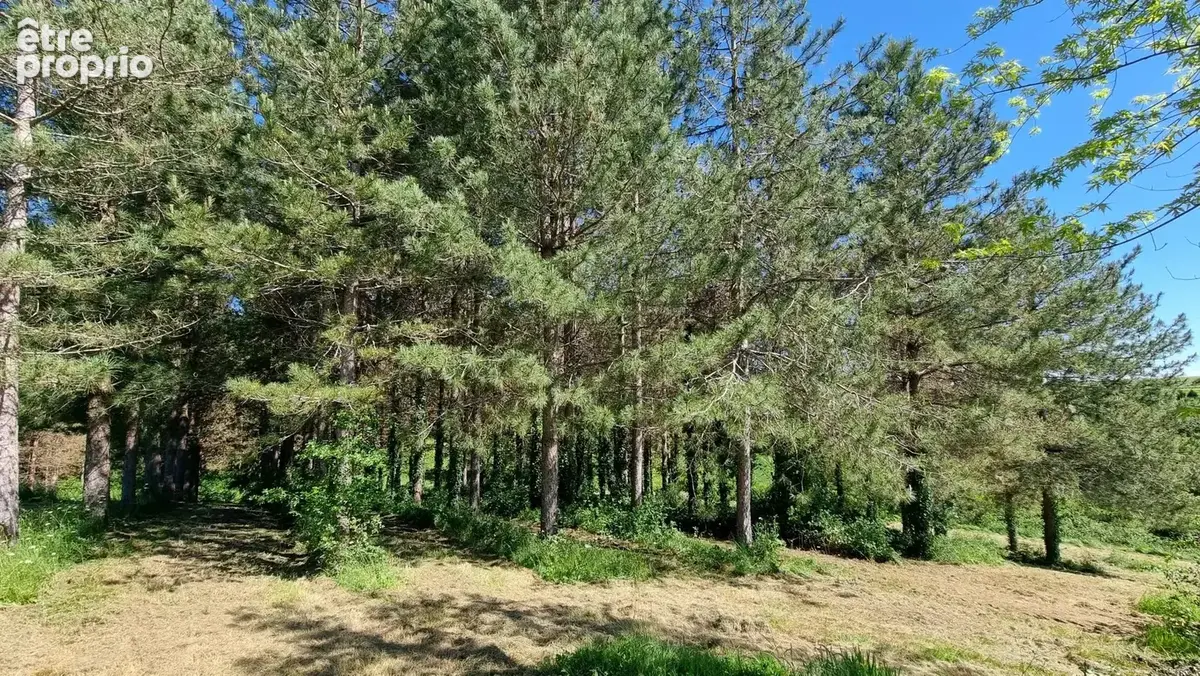 Maison en pierre avec dépendances et 4,8 hectares — Gros potentiel entre Monségur et La Réole - photo 12