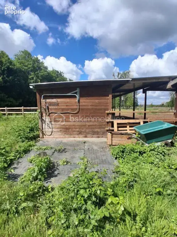 Propriété équestre - photo 13