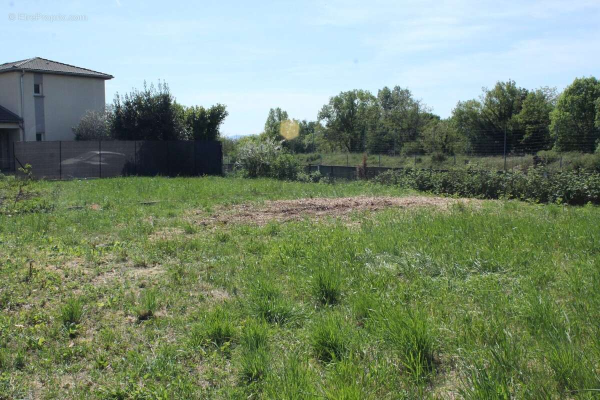 Terrain à RILLIEUX-LA-PAPE