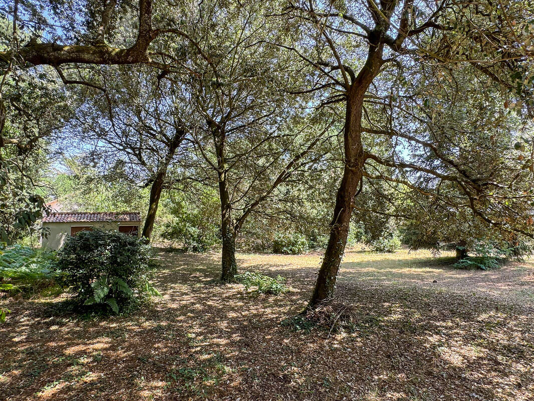 Terrain 1500 m² à Saint-Palais-Sur-Mer  - photo 3