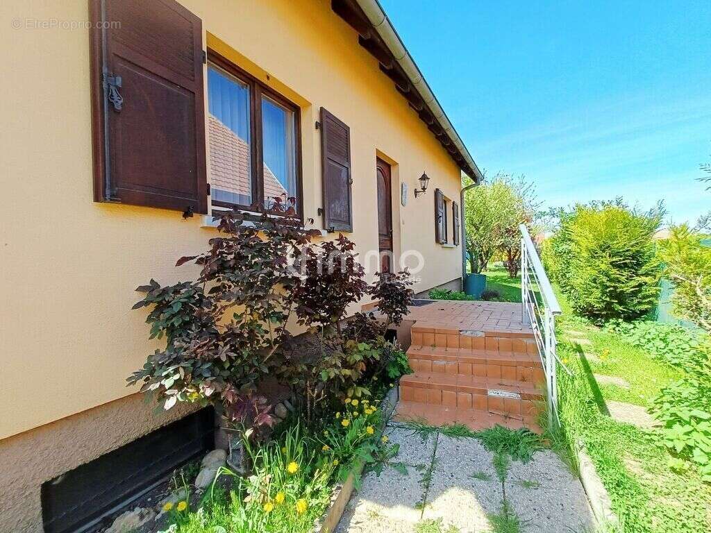 Maison à BISCHOFFSHEIM