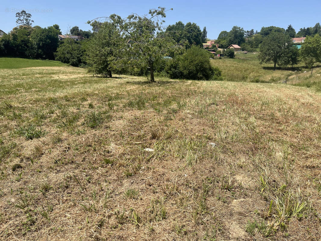 Terrain à SALIES-DE-BEARN