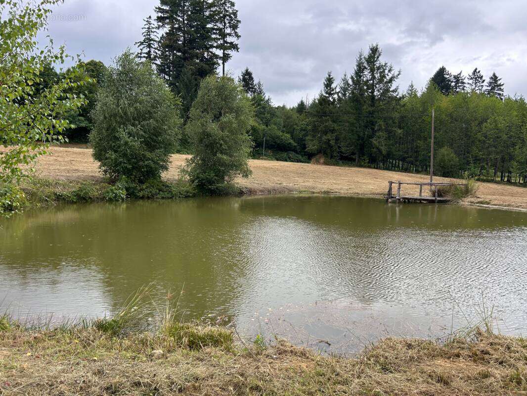 Terrain avec petite pièce d'eau - photo 4