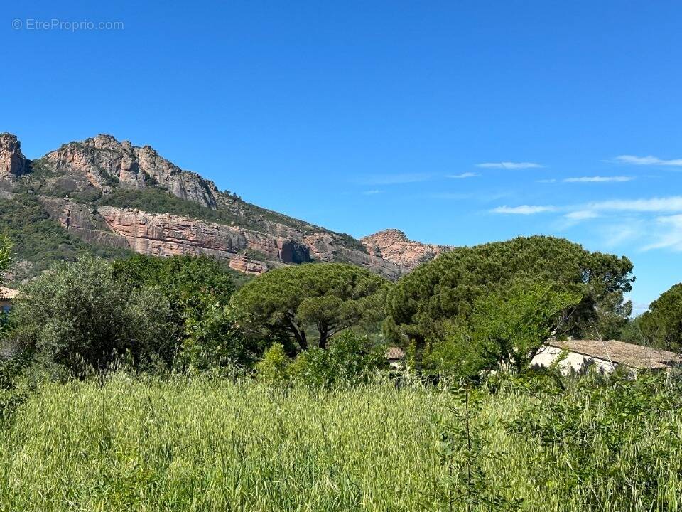 Terrain à ROQUEBRUNE-SUR-ARGENS