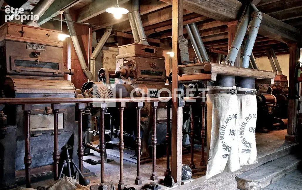 Maison de caractère, ancienne Minoterie, Atelier d'artiste et dépendances. - photo 2