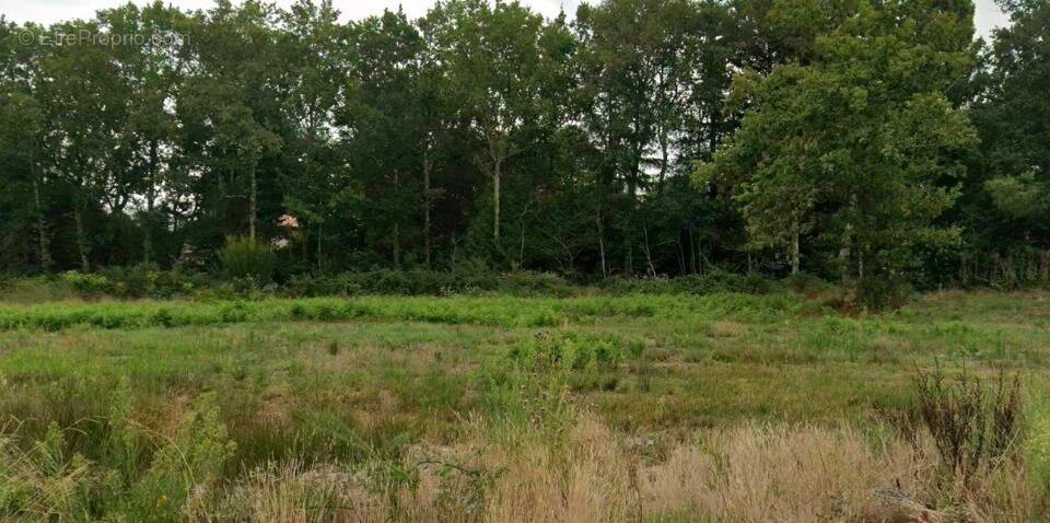 Terrain à SAINT-AUBIN-DE-MEDOC