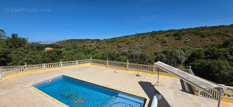 CALENZANA Maison à vendre 305 m² terrain de 5600 m² - Piscine - vue sur Calvi - photo 5