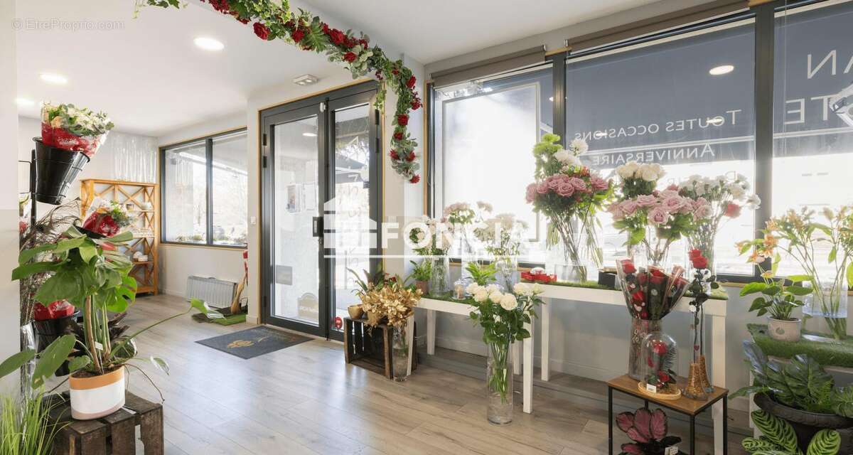 Commerce à MONT-DE-MARSAN