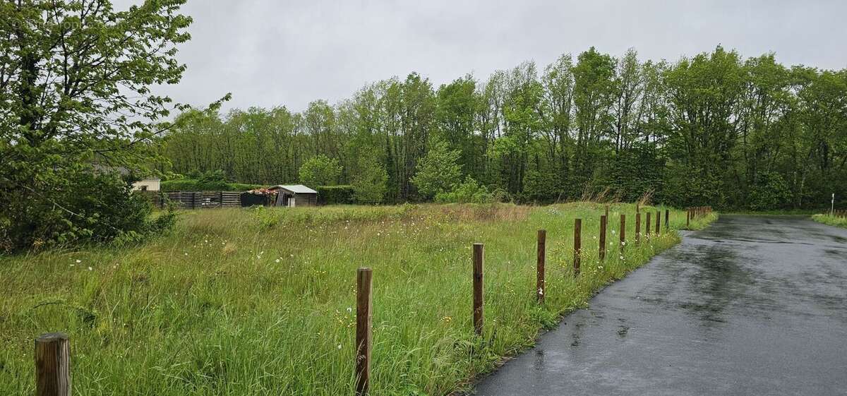 Terrain à CHAZELLES