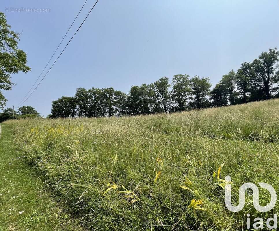 Photo 2 - Terrain à FIGEAC