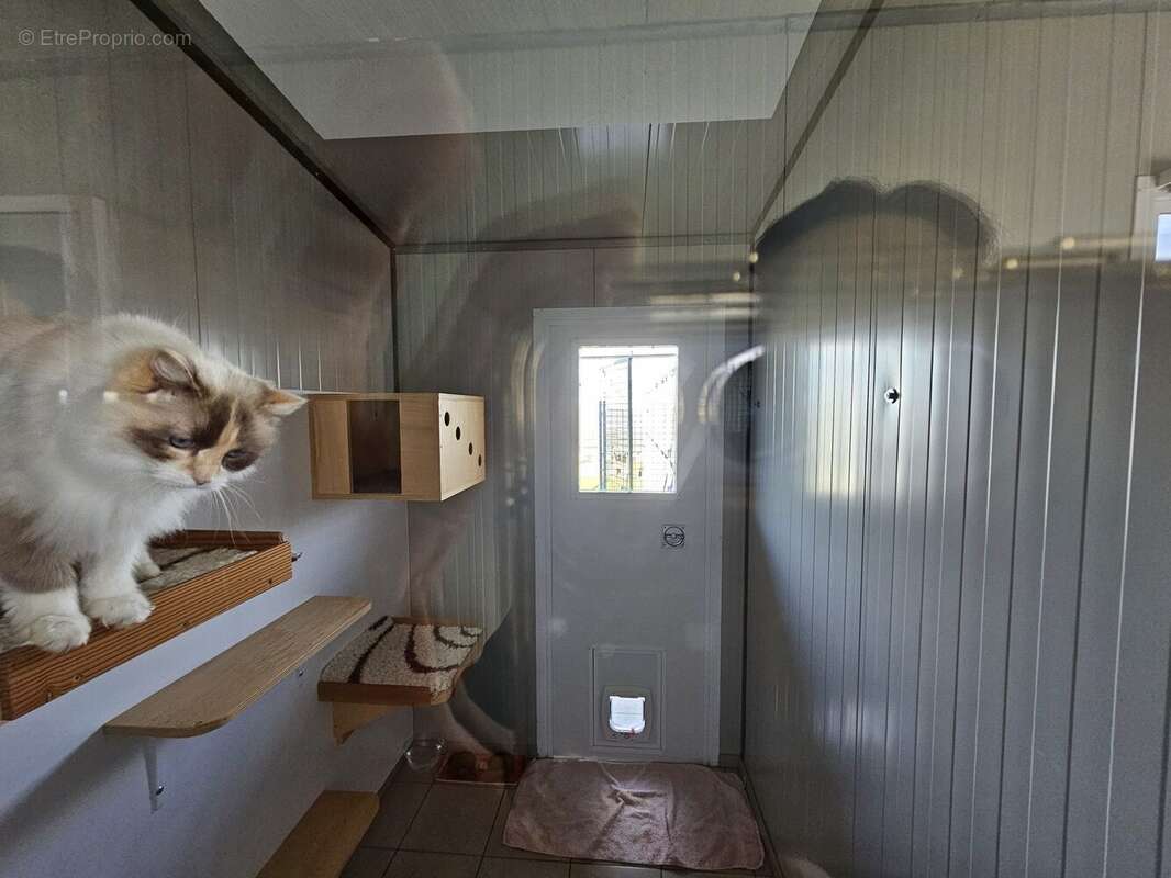 Maison à BEAUMONT-DU-PERIGORD