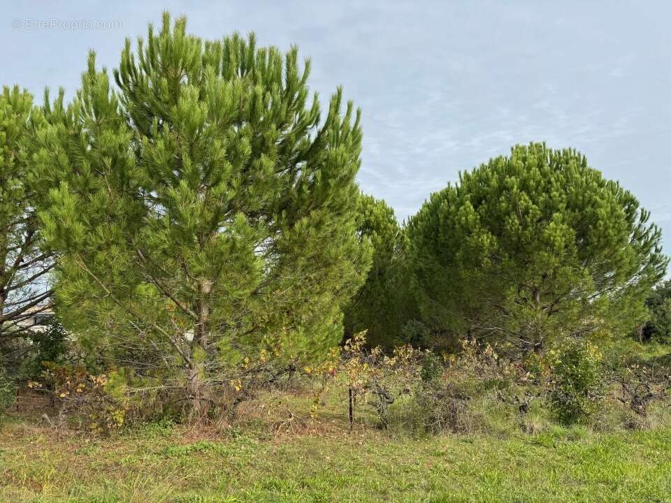 Terrain à SAINT-VICTOR-LA-COSTE