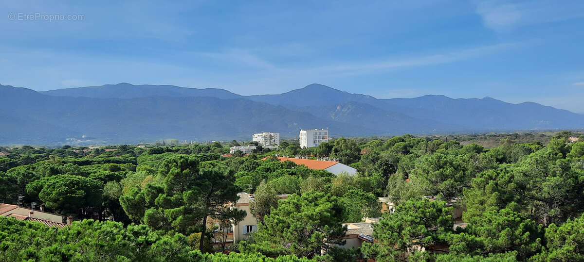 appartement bord de mer ARGELES - photo 12