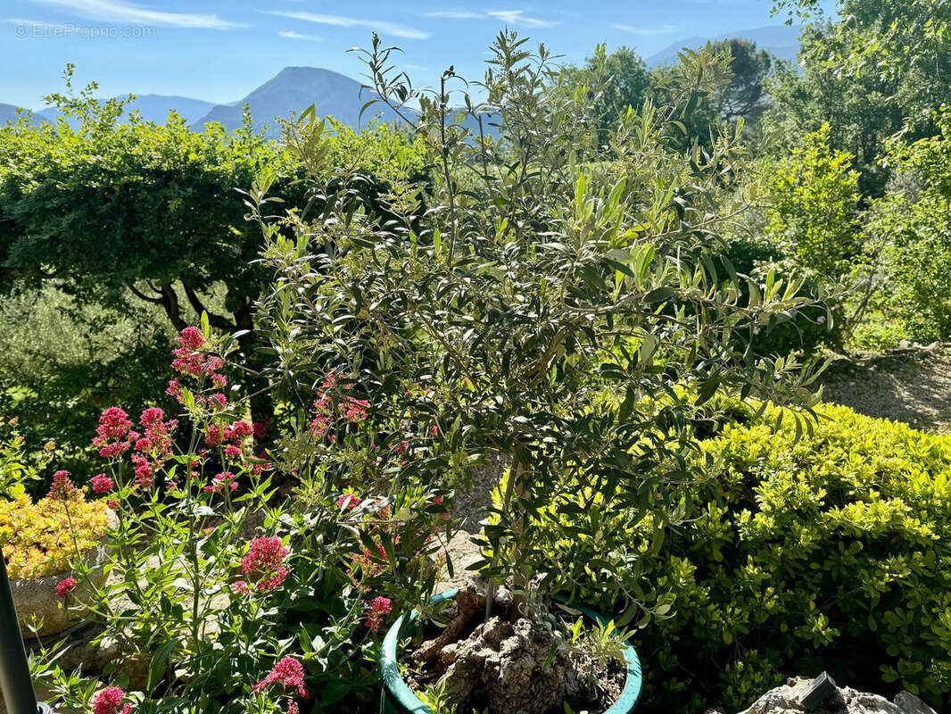 Maison à VAISON-LA-ROMAINE