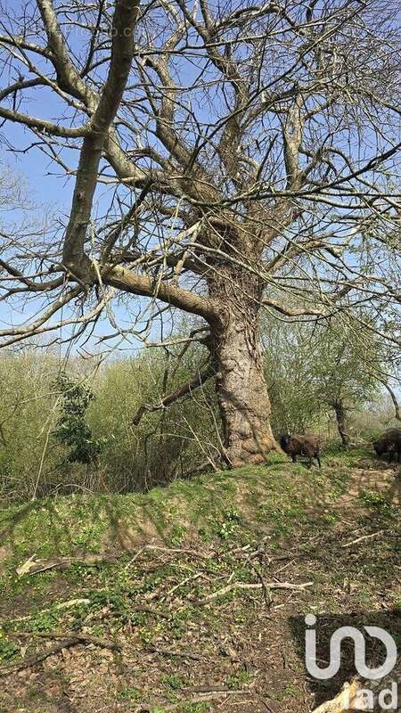 Photo 3 - Maison à LANNION