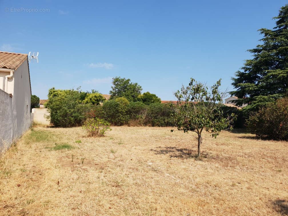 Terrain 855 m² à Saint-Nazaire-D'aude  - photo 3