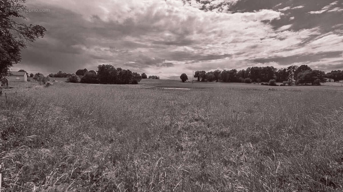 Terrain à BON-ENCONTRE
