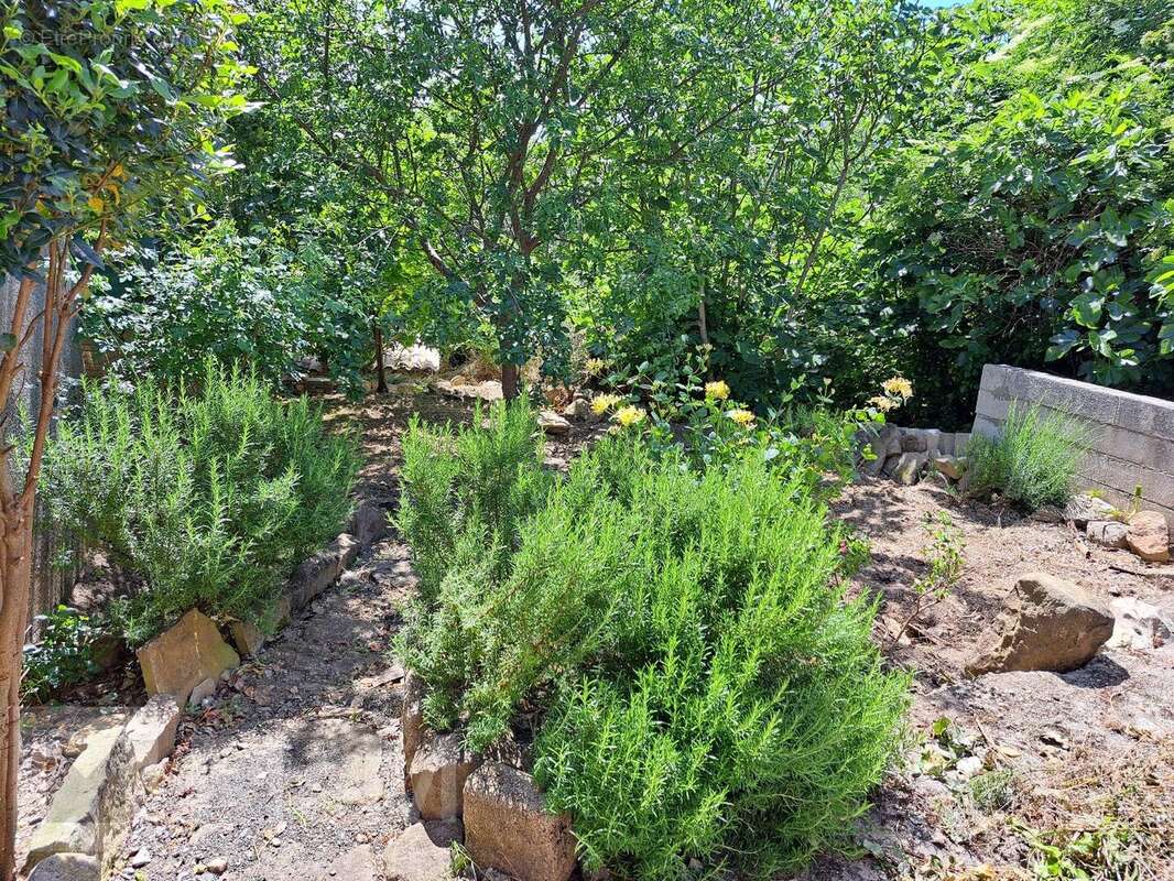 Maison à LUC-SUR-AUDE