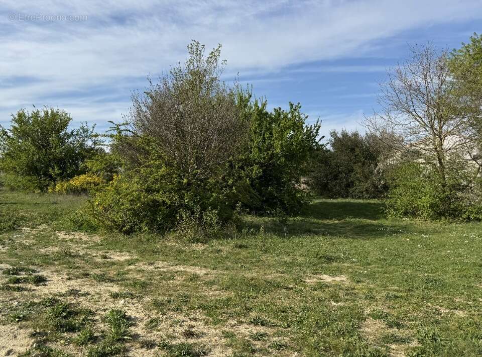 Terrain 919 m² à Castelnaudary  - photo 2