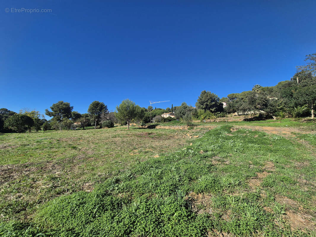Terrain à LE PRADET