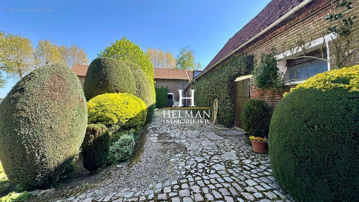 Maison à RENESCURE