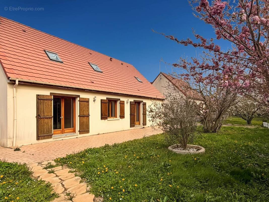 Maison à PITHIVIERS-LE-VIEIL