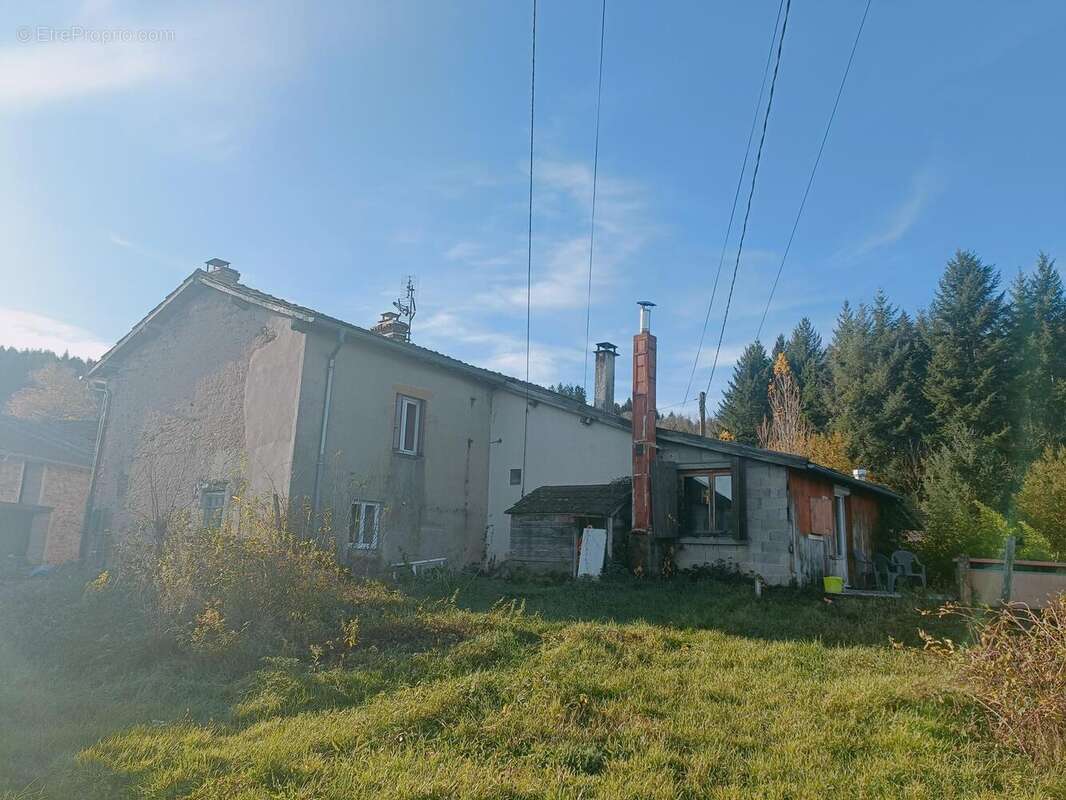 Photo 5 - Maison à BELMONT-DE-LA-LOIRE