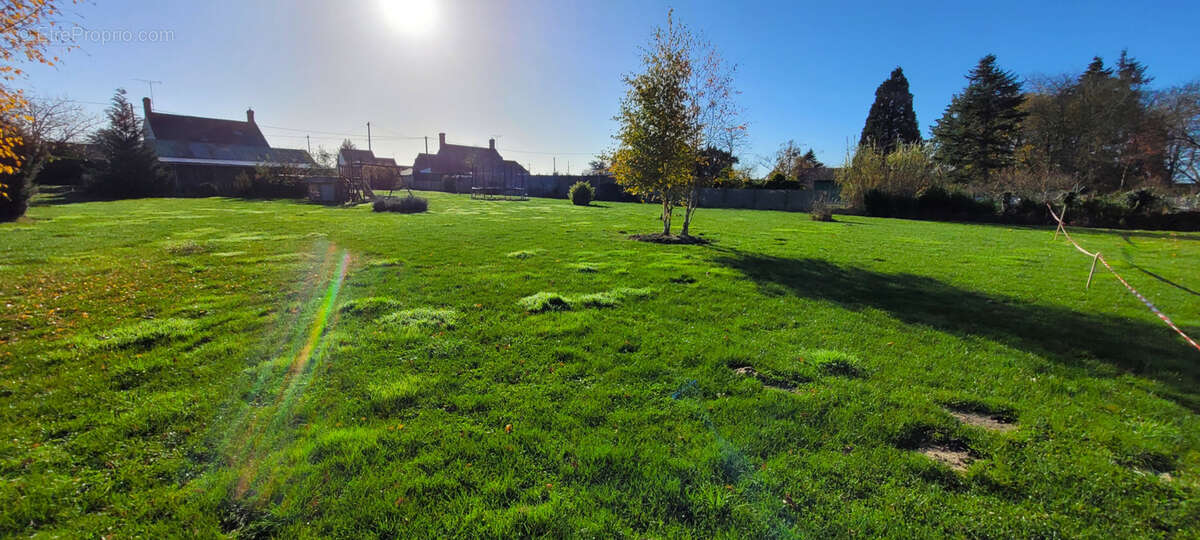 Terrain à LAILLY-EN-VAL