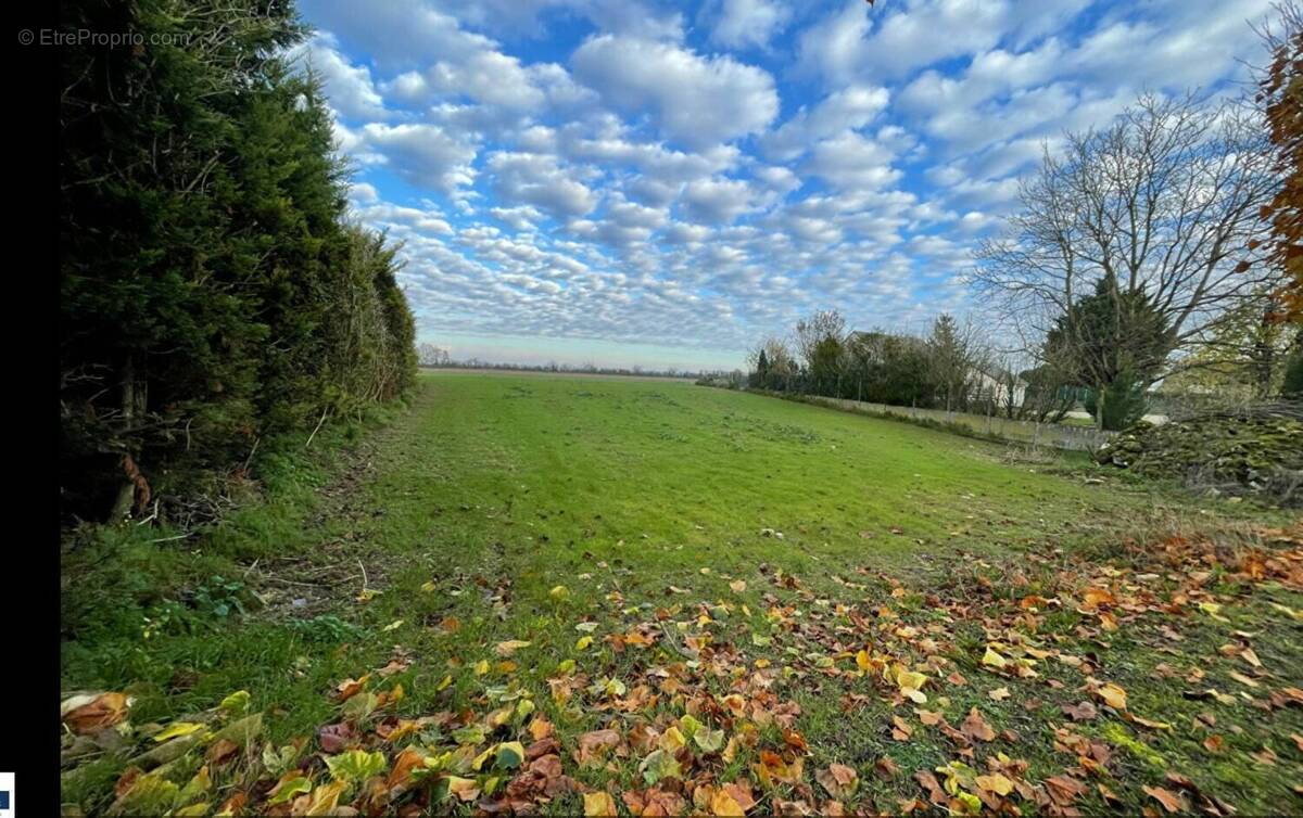 Terrain à LA CHAPELLE-LA-REINE
