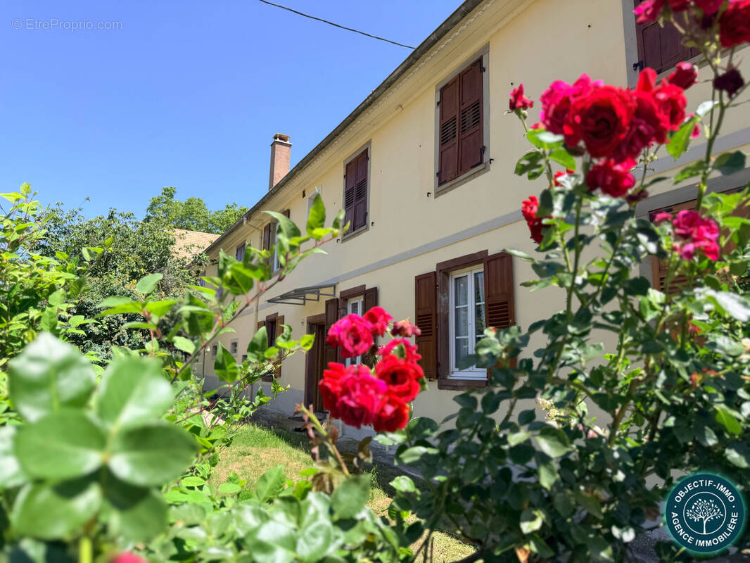 Maison à BERSTETT