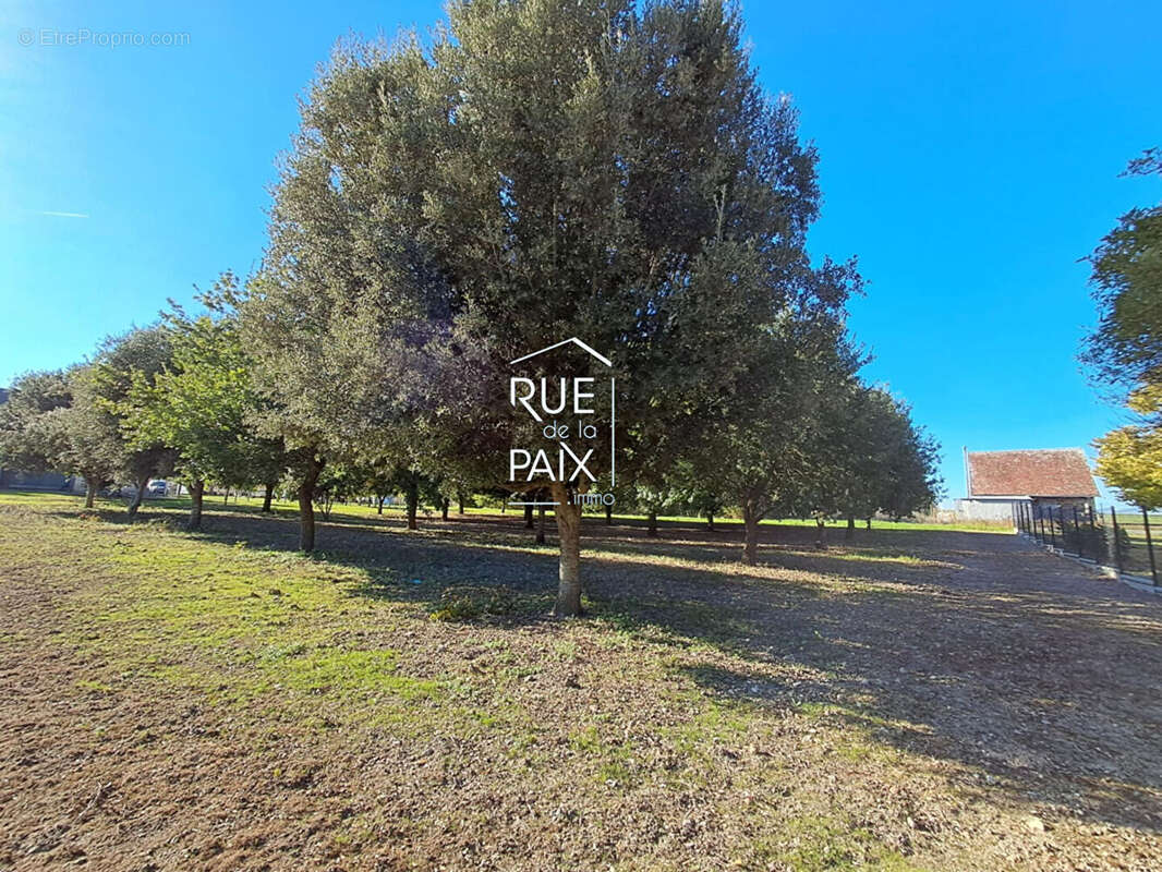 Maison à ANTOGNY-LE-TILLAC