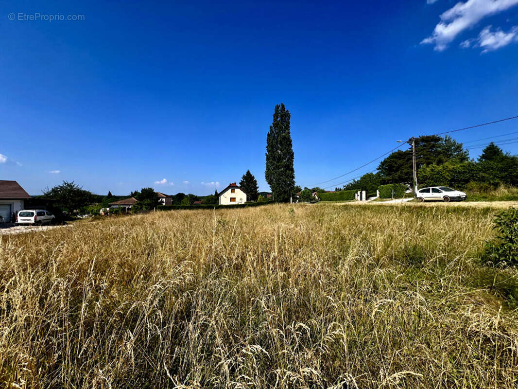 Terrain Constructible LA TOUR DE SÇAY - photo 2