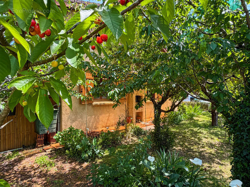 Maison à vendre 6 pièces MANCIET (32) - photo 25