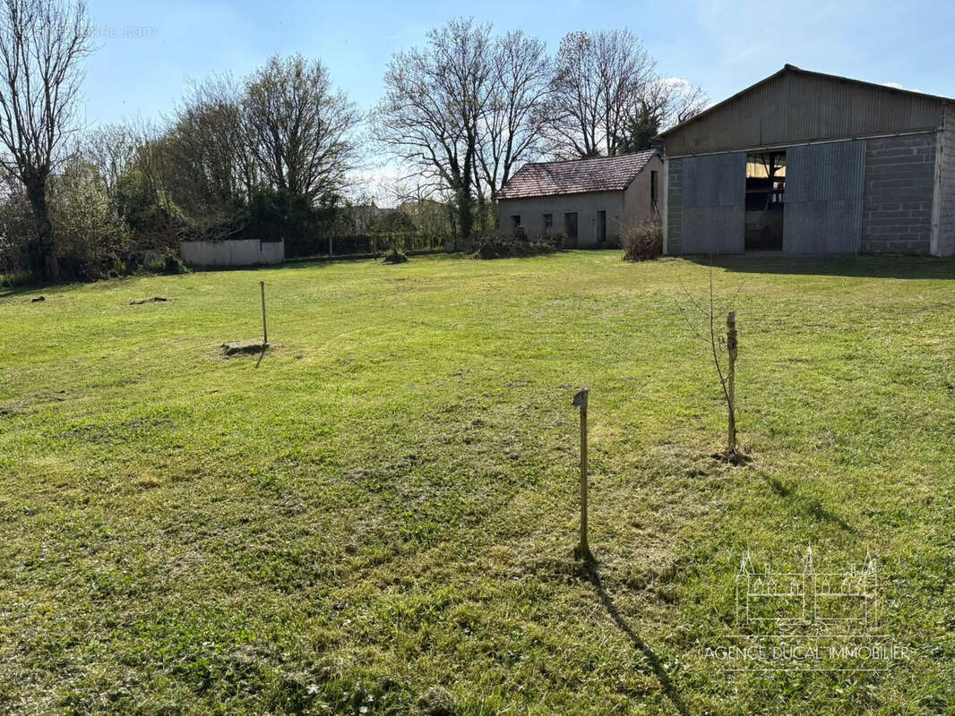 Commerce 500 m² à Challuy  - photo 5