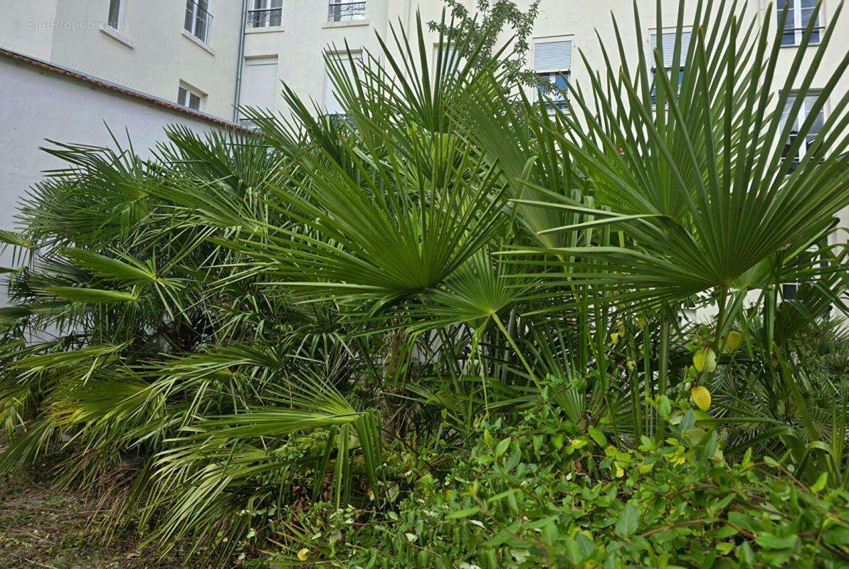 Appartement à VICHY