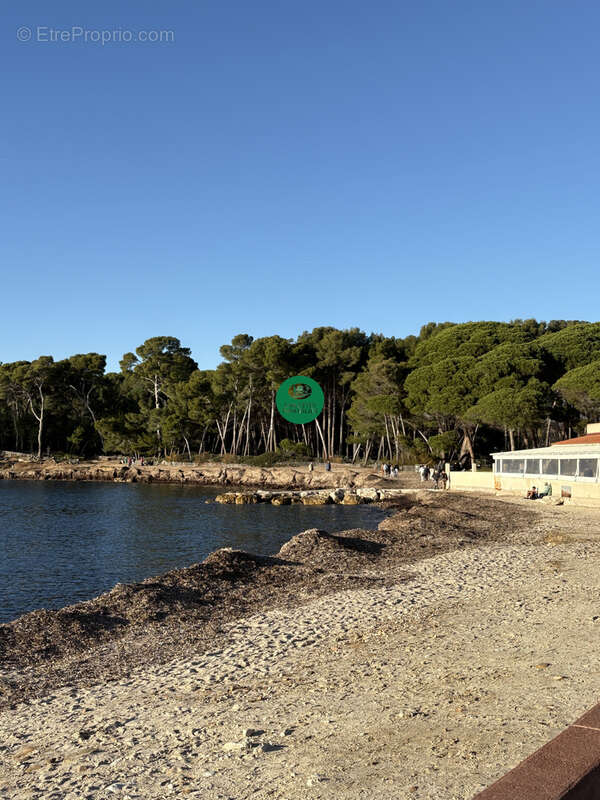 Appartement T3 à vendre Quartier Pin Rolland   Saint-Mandrier-sur-Mer (83) - photo 9