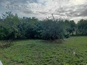 Terrain à LA JARRIE