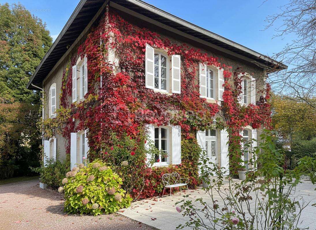 Maison à SAINT-MARTIN-DE-SEIGNANX