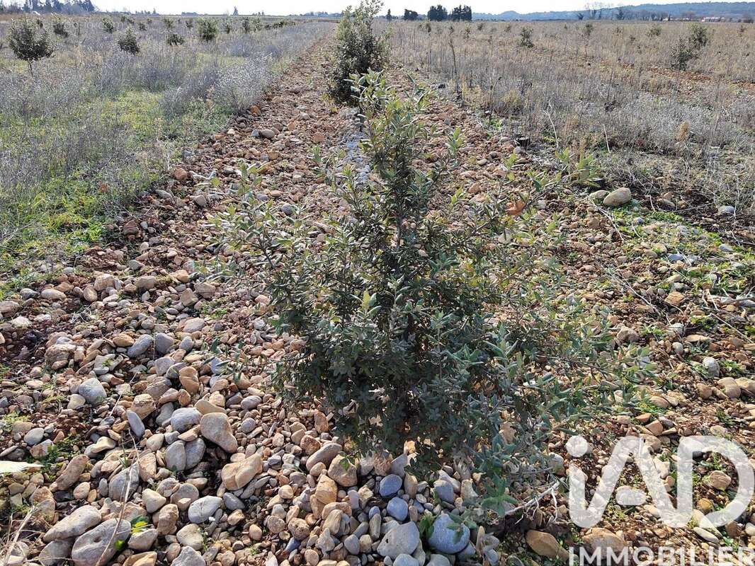 Photo 2 - Terrain à SAINTE-CECILE-LES-VIGNES