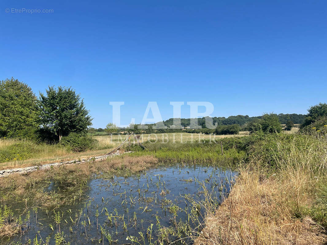 Corps de ferme à vendre avec 5.8 hectares, à Montgaudry, réf B15425 - photo 16