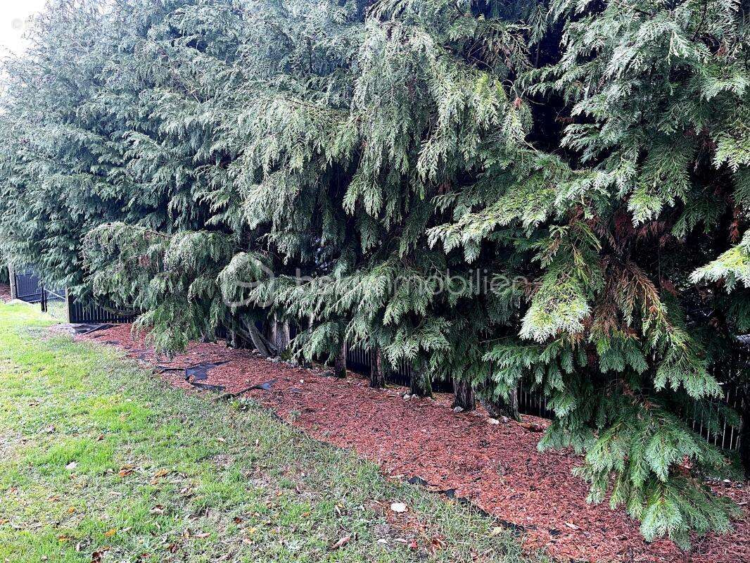 Terrain à LE BREUIL-EN-AUGE