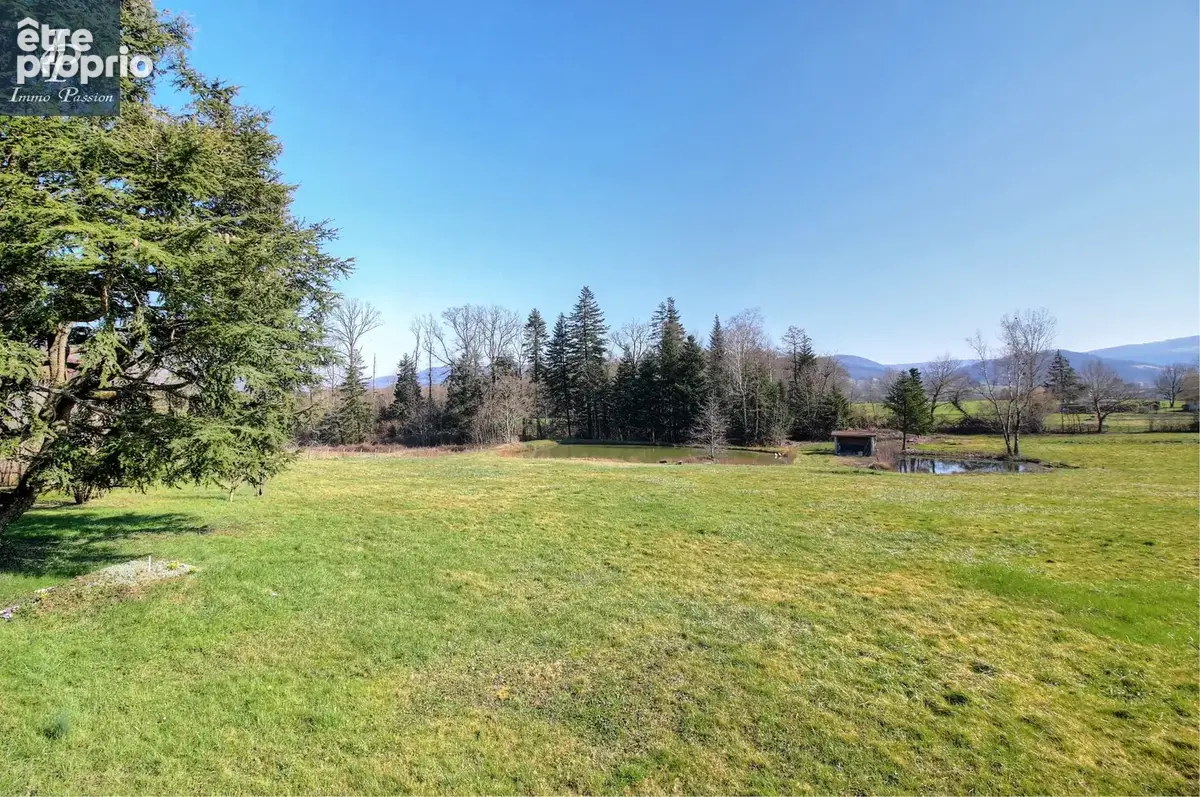 A VENDRE Proche COUSANCE : Magnifique Propriété 11 pièces 350 m2 - photo 6
