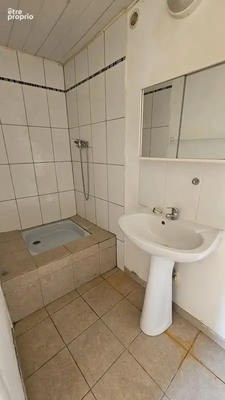 Offrant une tres belle vue - 2 appartements de 32 et 35 m2 et une cave de 35m2 - photo 10