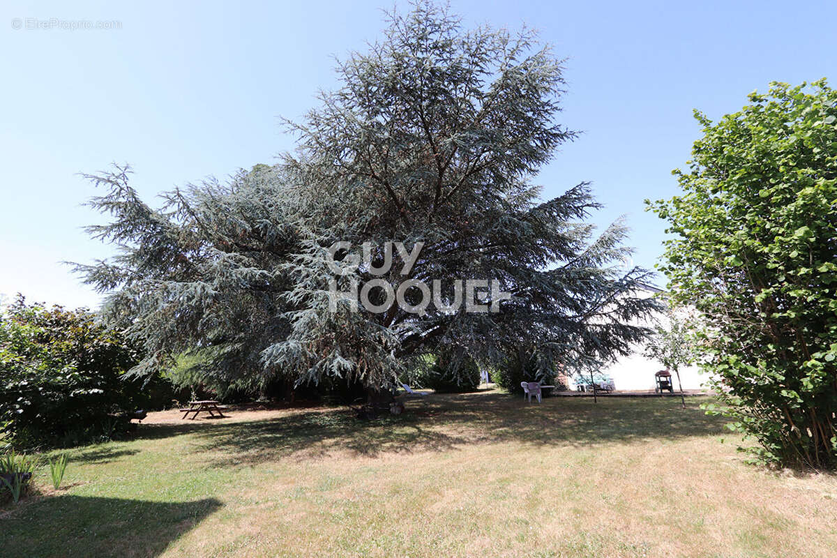 Maison Joue Les Tours 5 pièce(s) - photo 14