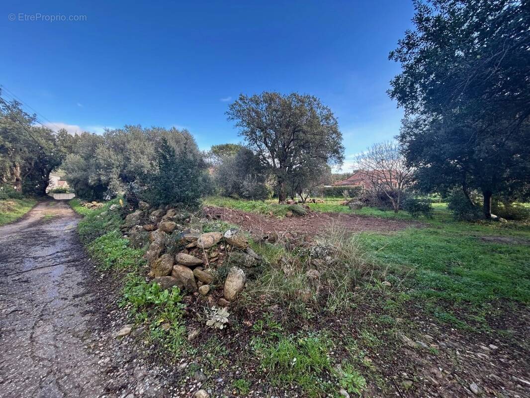 Terrain à PIETRACORBARA