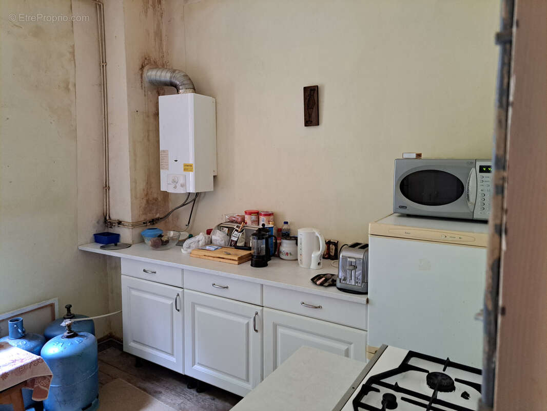 Maison en pierre 168m2, 11 pièces, terrasse et terrain à Carcanières les Bains - photo 10
