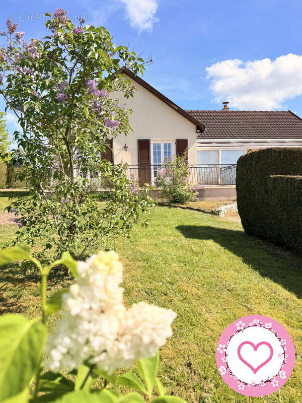 Maison à LES BORDES