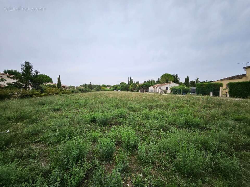 Terrain 600 m² à Fontvieille  - photo 3