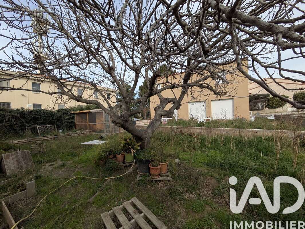 Photo 3 - Maison à ELNE