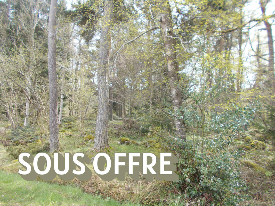 Terrain à SAINT-JEURES